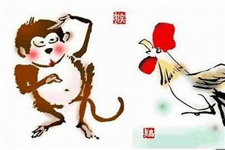 属相猴跟猴结婚好不好