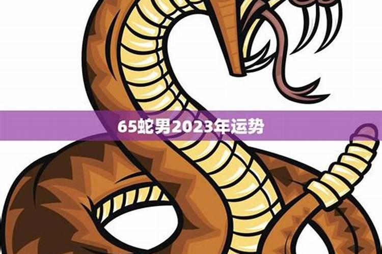 属蛇男2023年感情运势