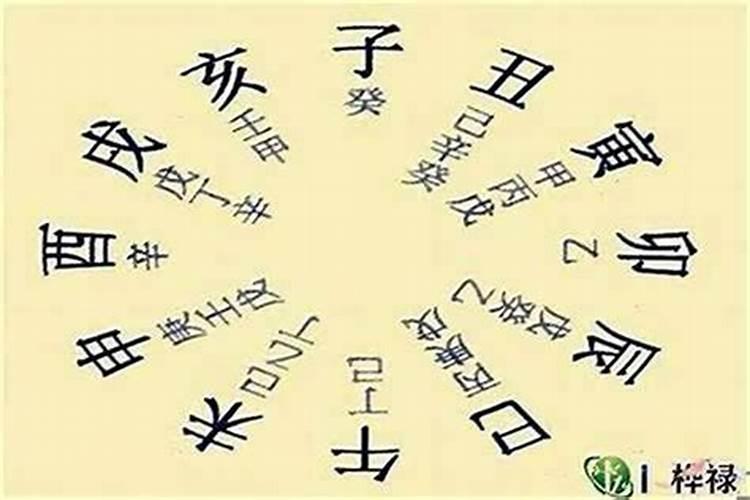 八字排盘中的印指什么