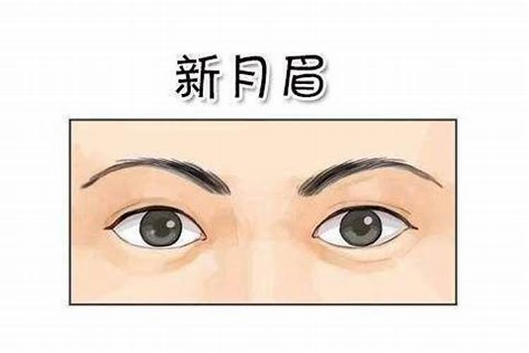 什么样的眉毛有财运