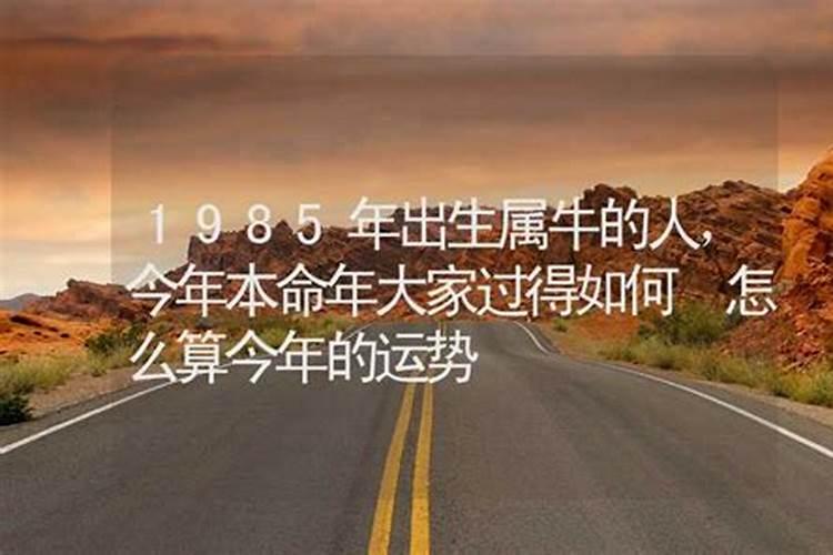 1985年今年的运势如何