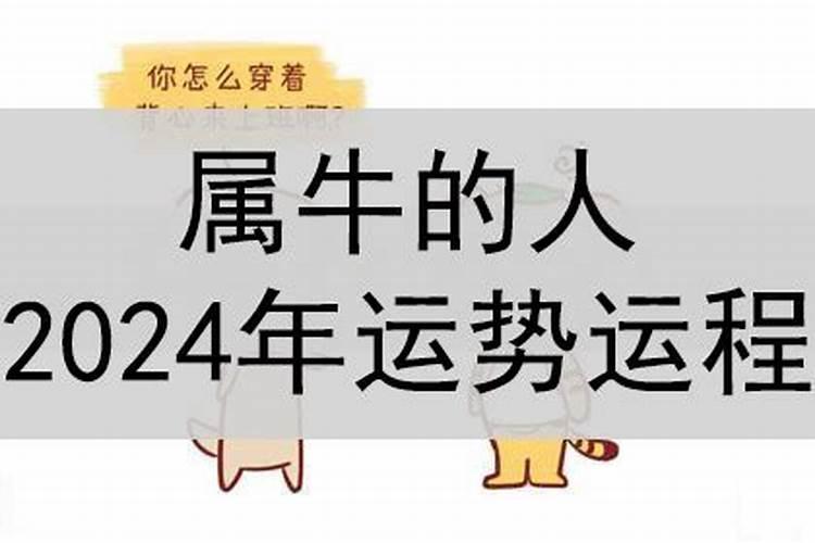 属猴今年运势女2023年怎么样