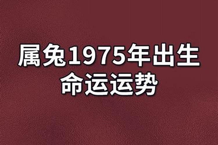 1975年出生的命运运势为何很差