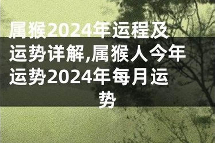 冬至祭祀准备什么花最好