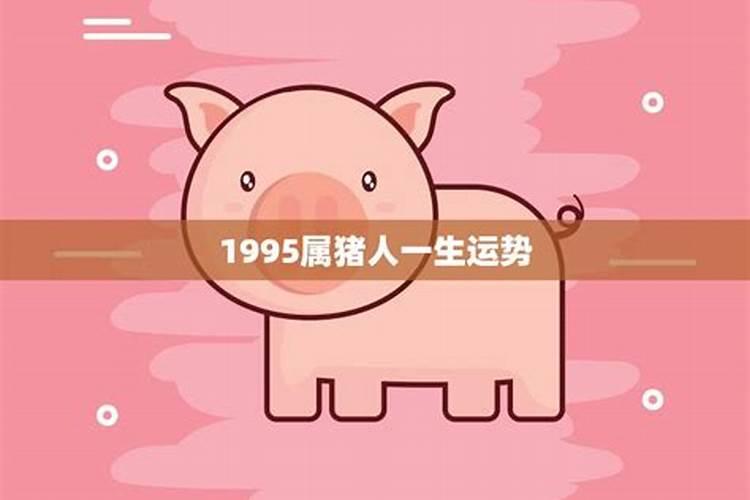 1995年属猪人一生运程