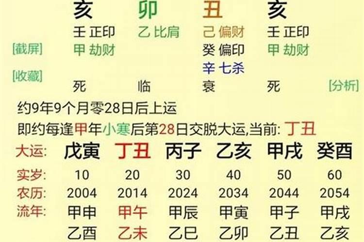 本命年的虎怎么避开属蛇的人