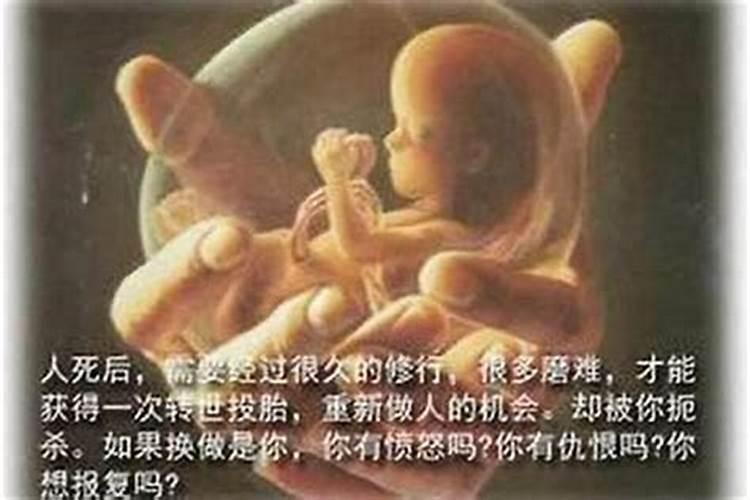 1994年属狗女人一生婚姻