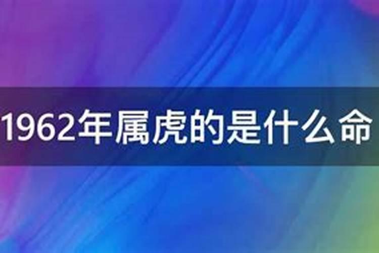 出生龙年今年命运如何样