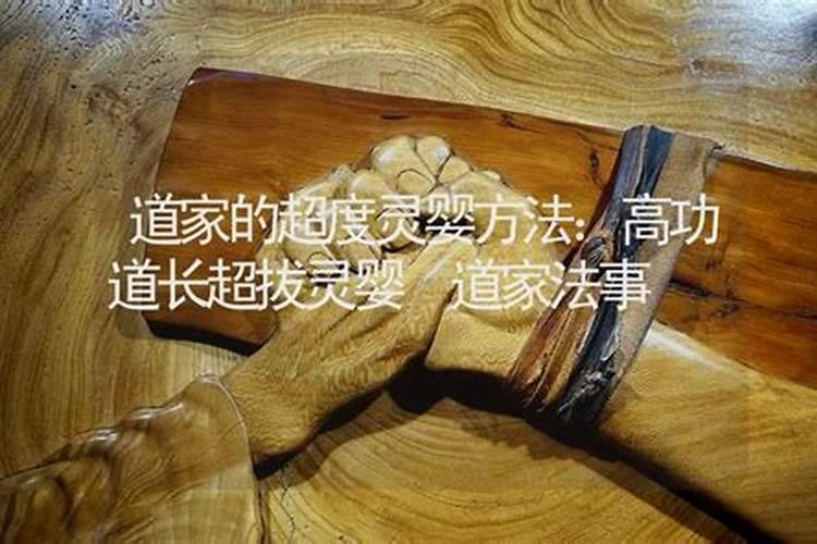 鼠金牛座女生性格特点