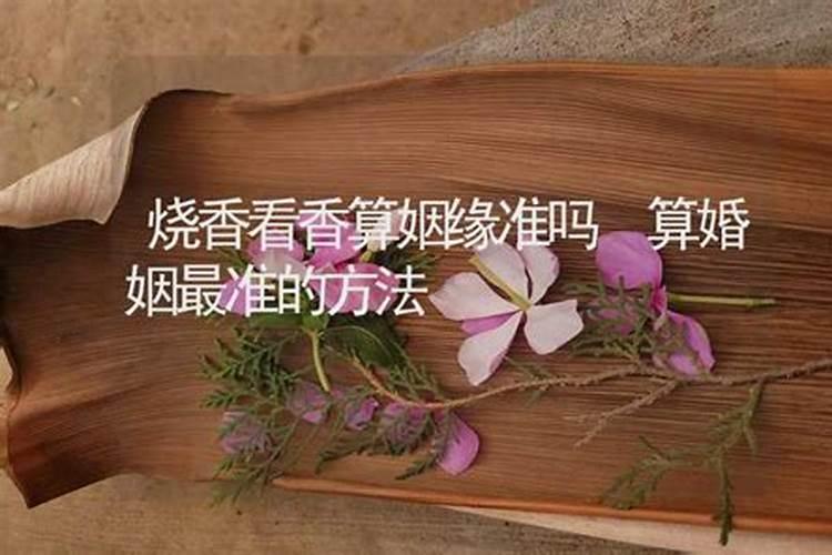 属龙的合财生肖是什么