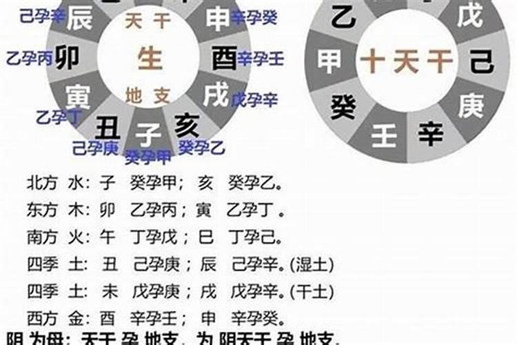 八字年支日支怎么看