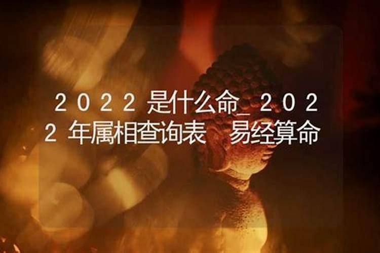 2022年是属相什么