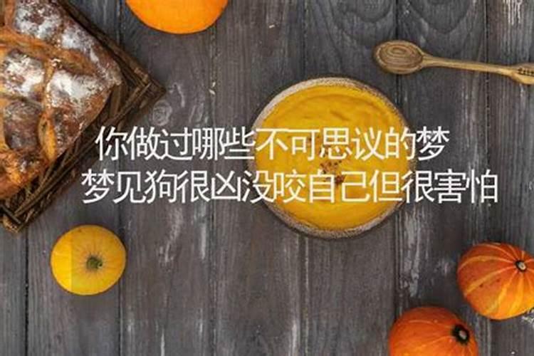 梦见大黑狗很凶但没咬我