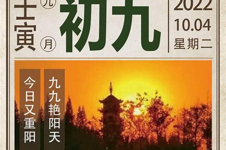 苏民峰2023年十二生肖运程