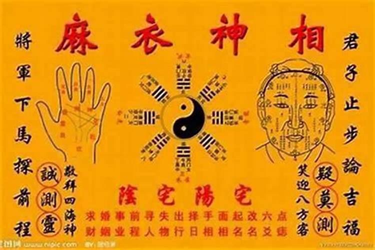 学易学八字需要什么要求