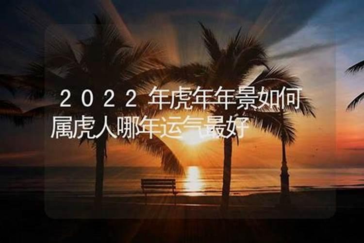 2022年虎年运气最好的生肖