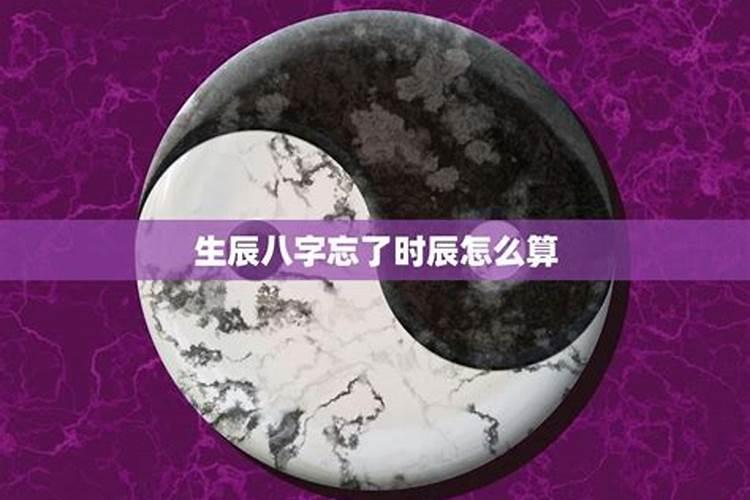 梦到很多白天鹅什么意思啊周公解梦