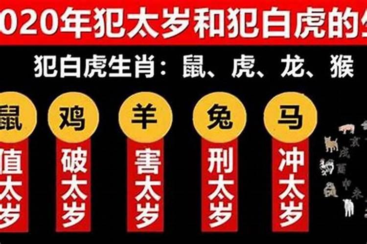 2019年哪几个生肖犯太岁