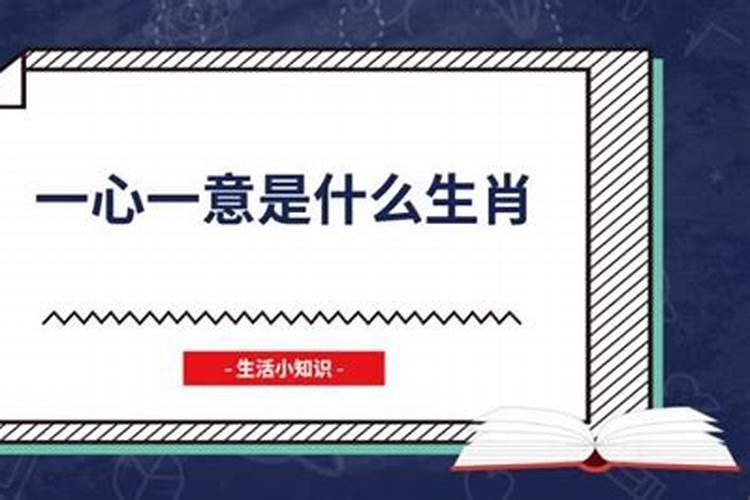 梦见和异性拥抱很真实很安心