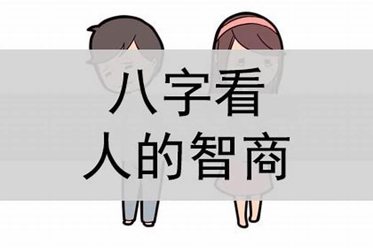 八字看智商神巴巴