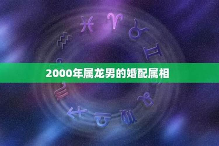 2000年属龙的人是什么命婚配