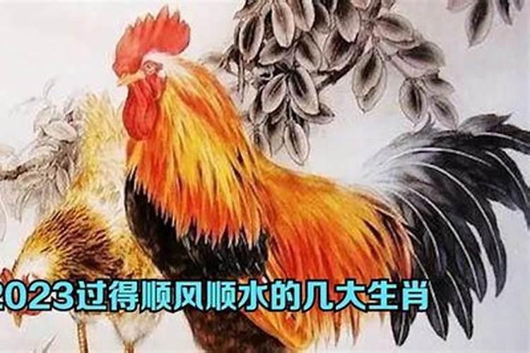 属鼠的过了2023年会顺风顺水嘛