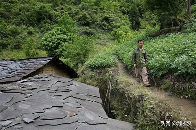 梦见房前屋后都是荒草