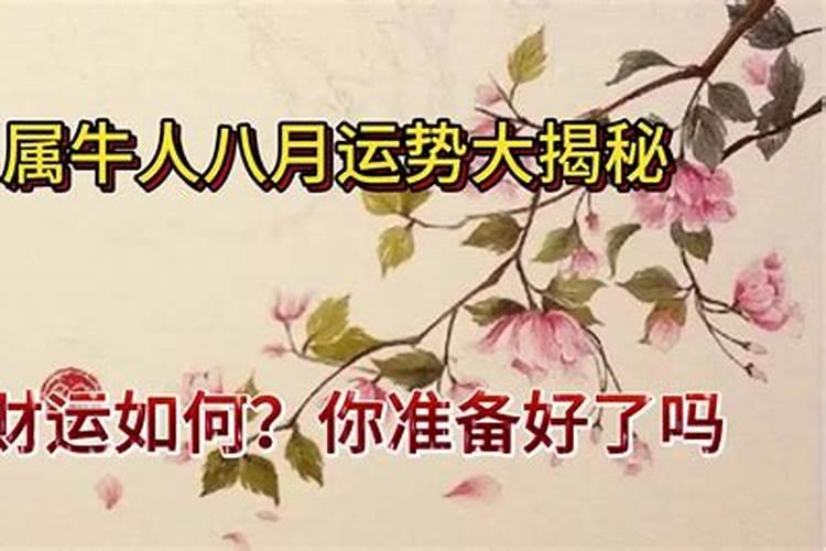 做业务的女人多数婚姻不顺