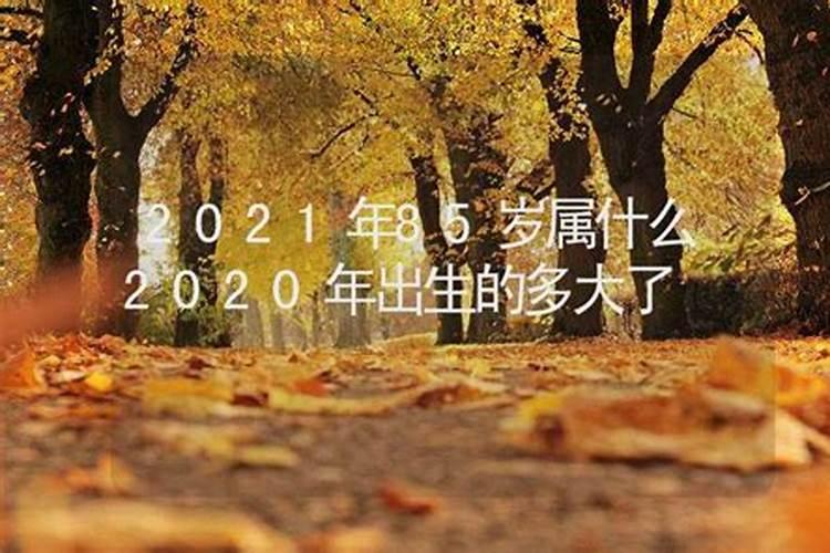 46岁属什么的今年多大