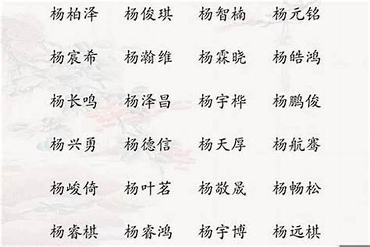 姓杨属虎取什么名字好大全