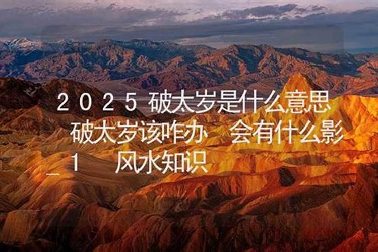 2026年最旺的生肖