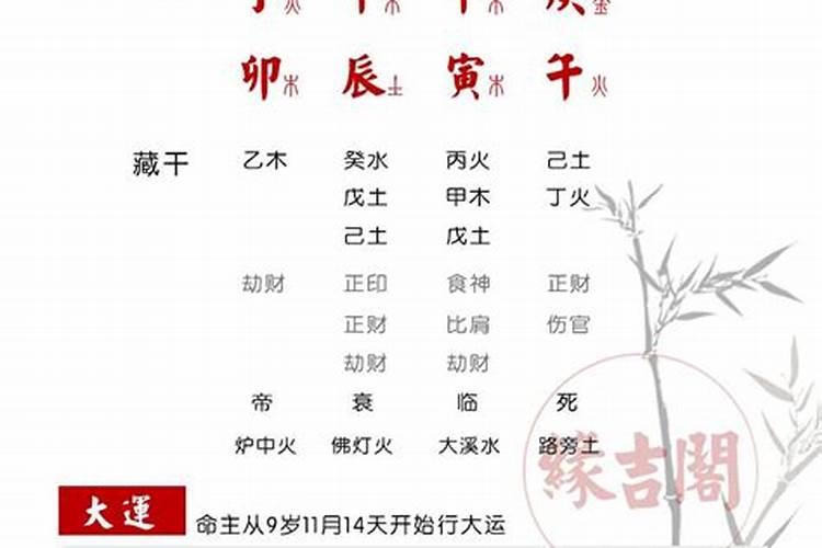 农历2023年是什么年生肖