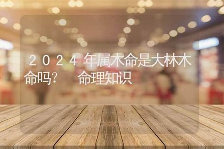 87属兔的2024年运势如何