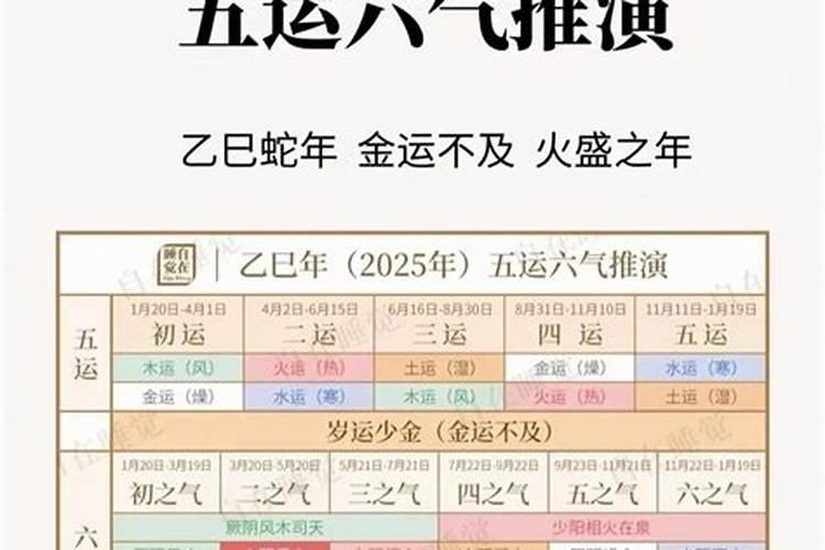 梦见同学带着孩子和我一起玩