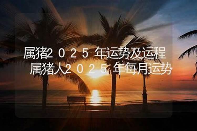 71年生肖猪财运最佳方位是那方