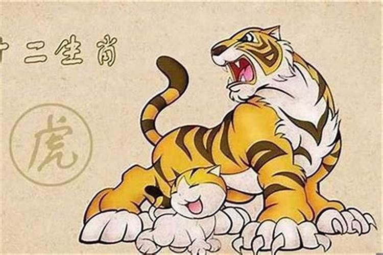 梦见和猫咪玩耍什么意思啊