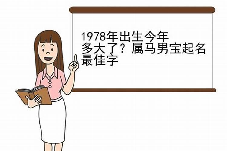 1978年的人是属什么的