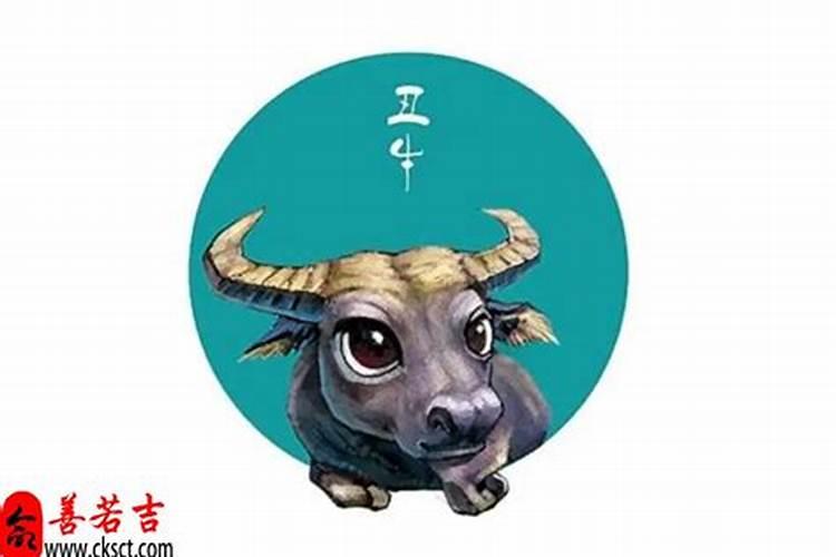 梦见以前的老房子倒塌是什么意思,好不好,代表什么