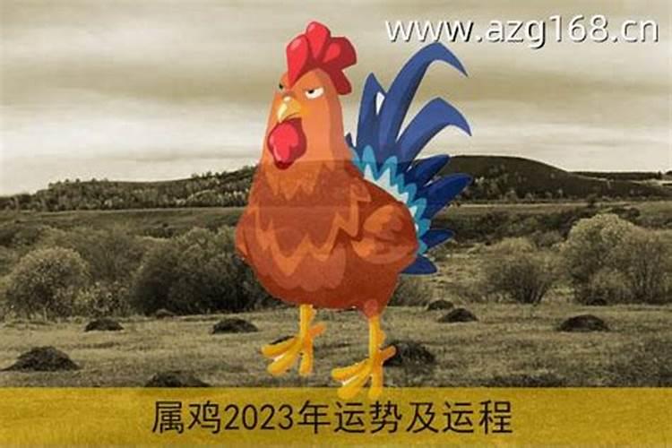 属鸡2023年全年运势和运程