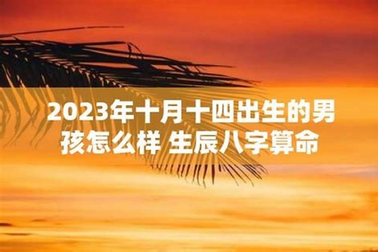 2020年属鸡的每月运势和财运