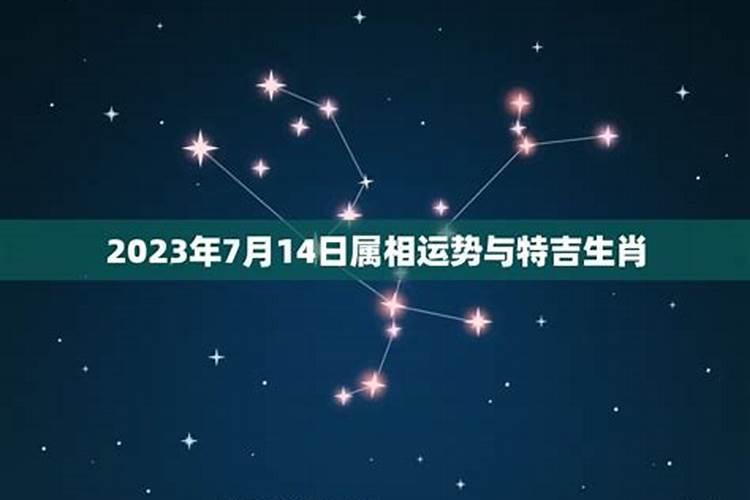 2021年83年属猪人的全年运势女性易安居