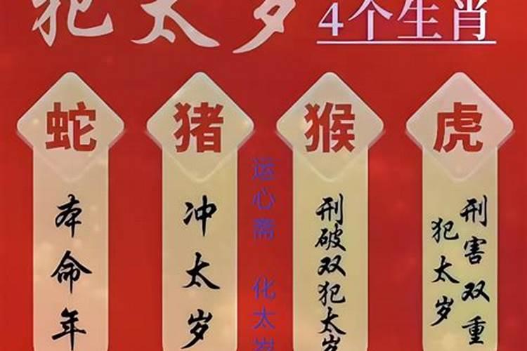 2023年属龙人的全年运势详解视频讲解