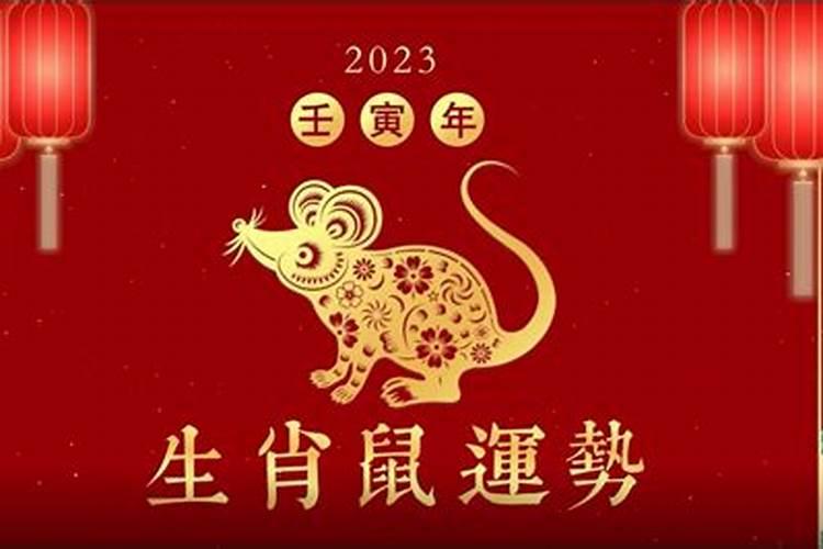 属猪2022犯太岁吗为什么不吉利