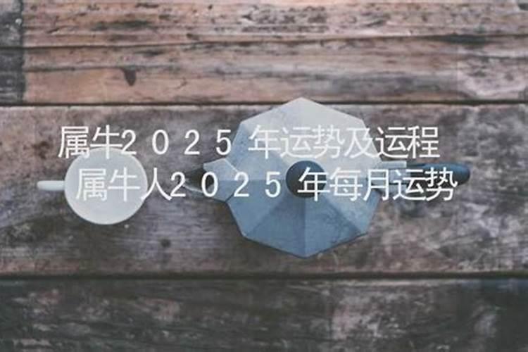 属羊白羊座2021年下半年运势