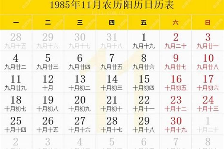 1985年农历十一月十一出生运势男命