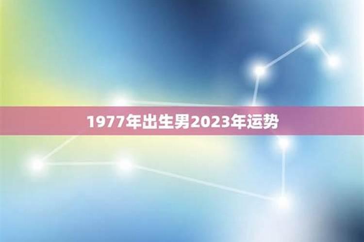 1977年生今年运势怎样