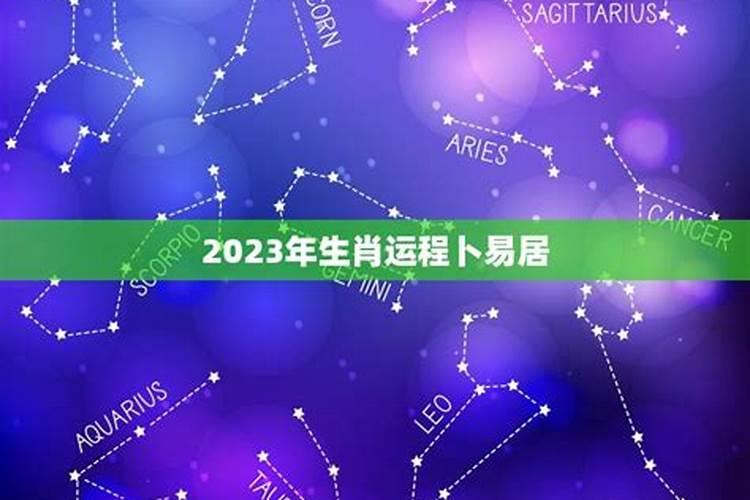 88年龙2021年属鼠人的全年运势