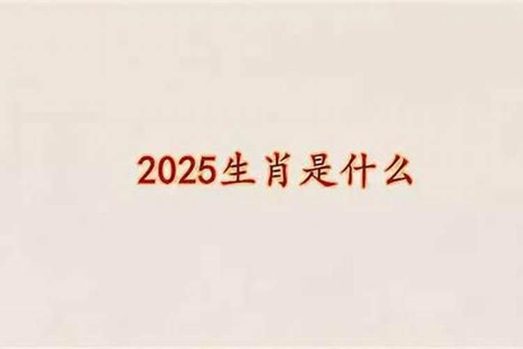 91年在2023年运势如何