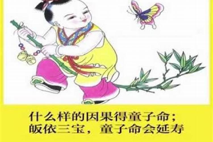 生肖老鼠女和什么最配