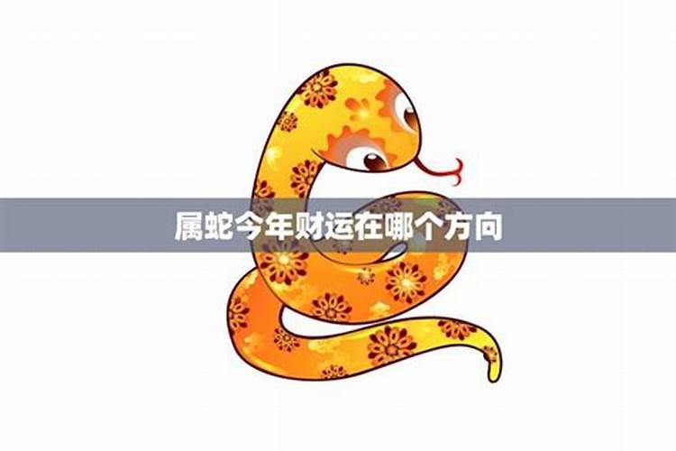 8月4日的星座是什么座